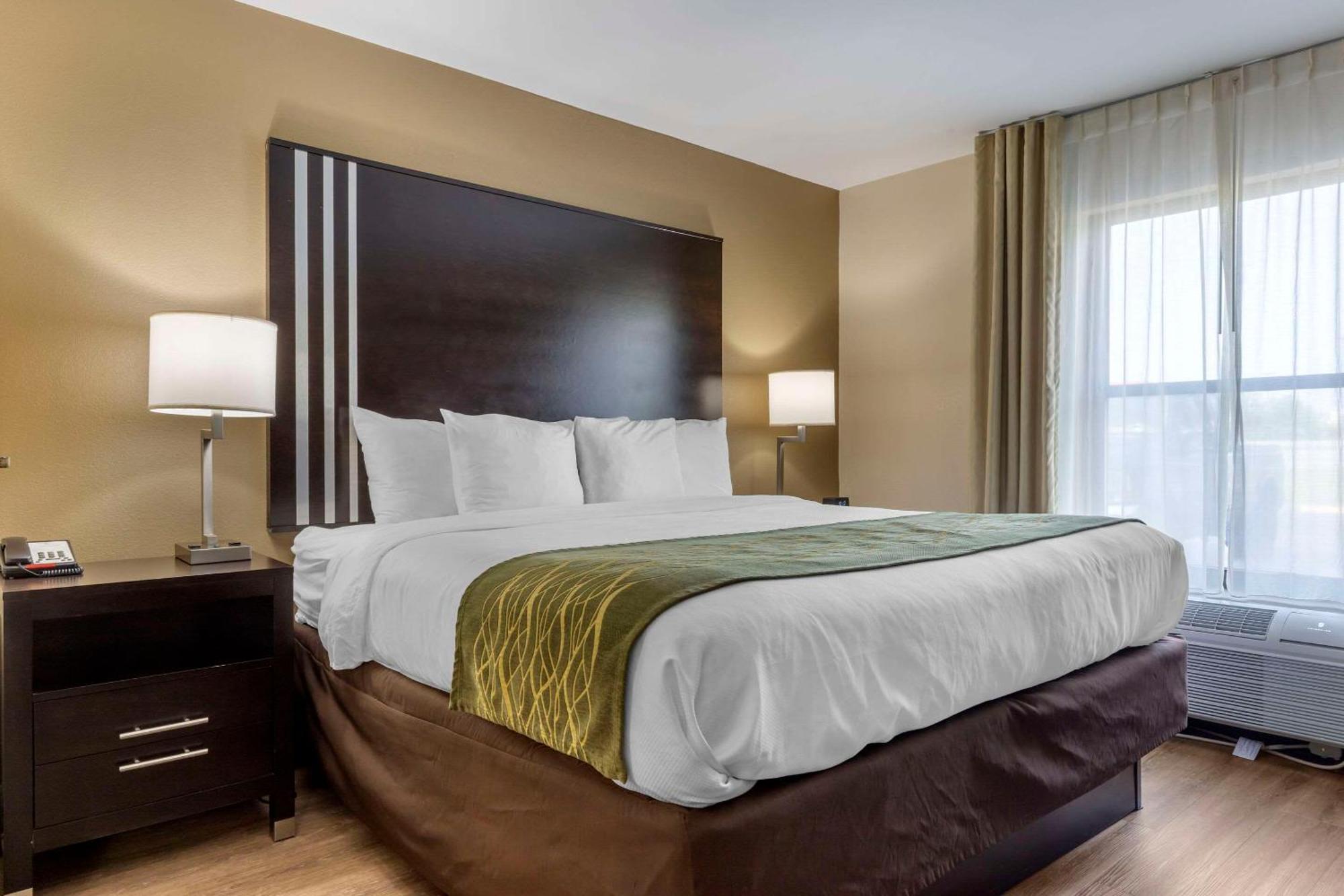 Comfort Inn Near Downtown & Blue Ridge Pkwy Marion Ngoại thất bức ảnh
